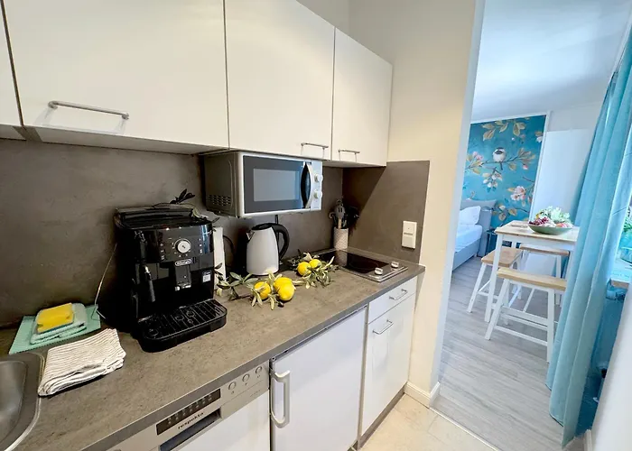 Cozy Studioapartment Apartment *